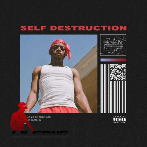 Boogie - Self Destruction